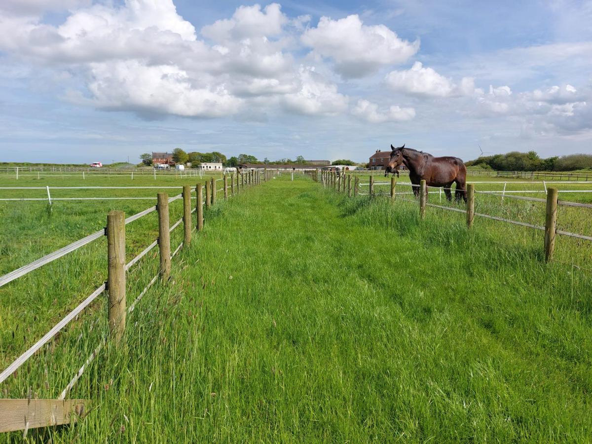 Готель Braemar Equestrian, East Riding Of Yorkshire Burton Pidsea Екстер'єр фото